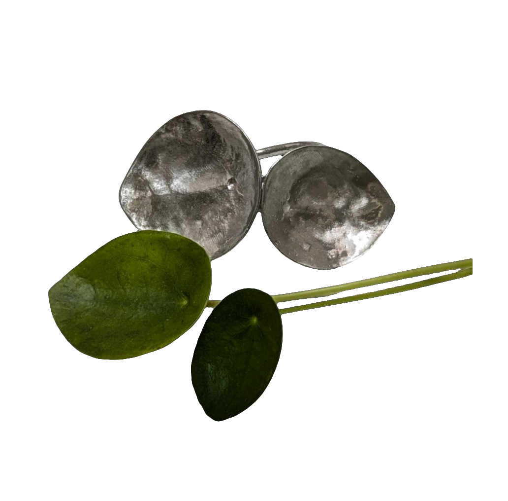 Money Plant Adjustable Pewter Napkin Ring Set of 4 Inspired by Nature