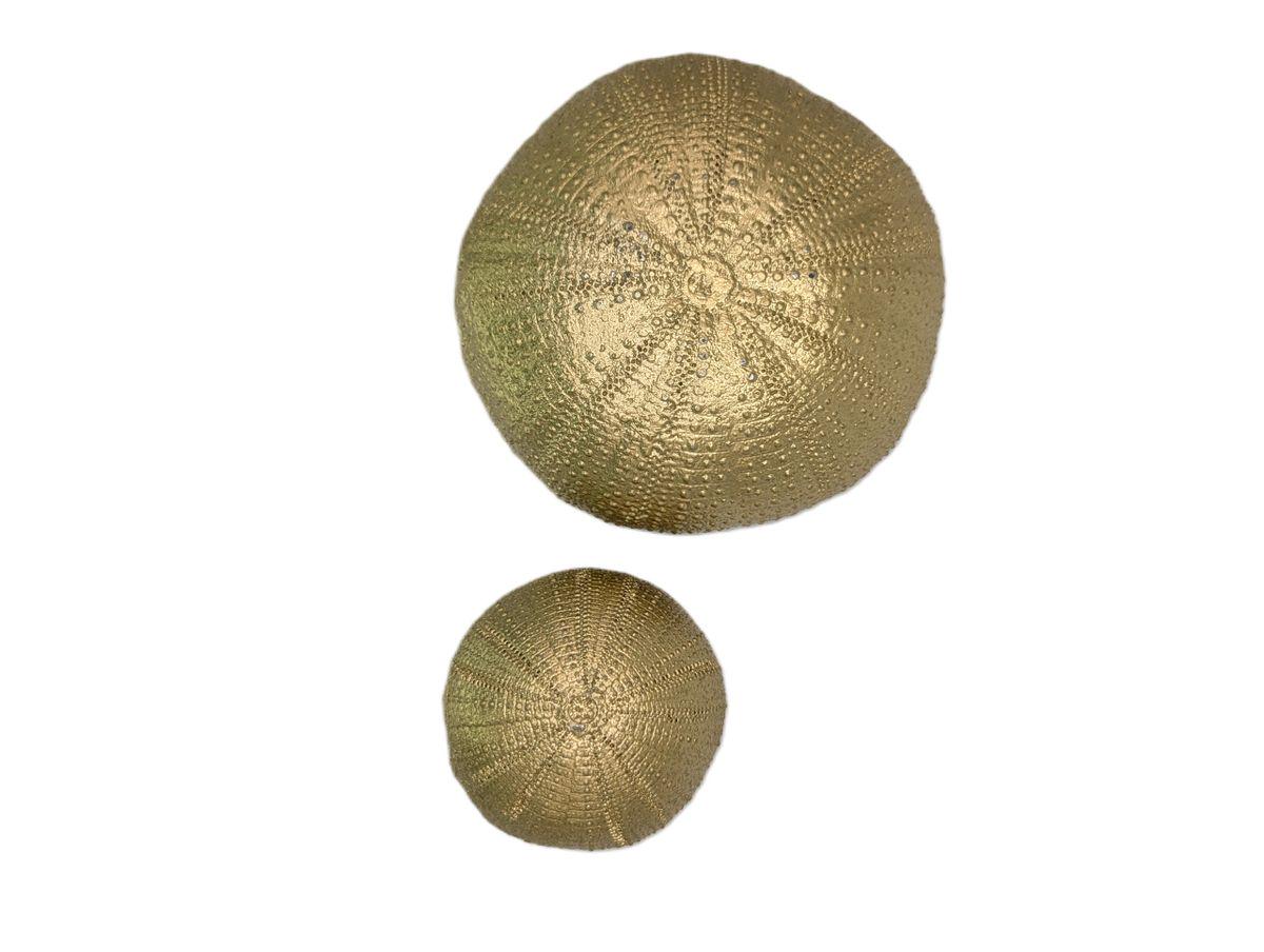 Sea Urchin Multifunctional Pewter Box Set Decor Inspired by Nature