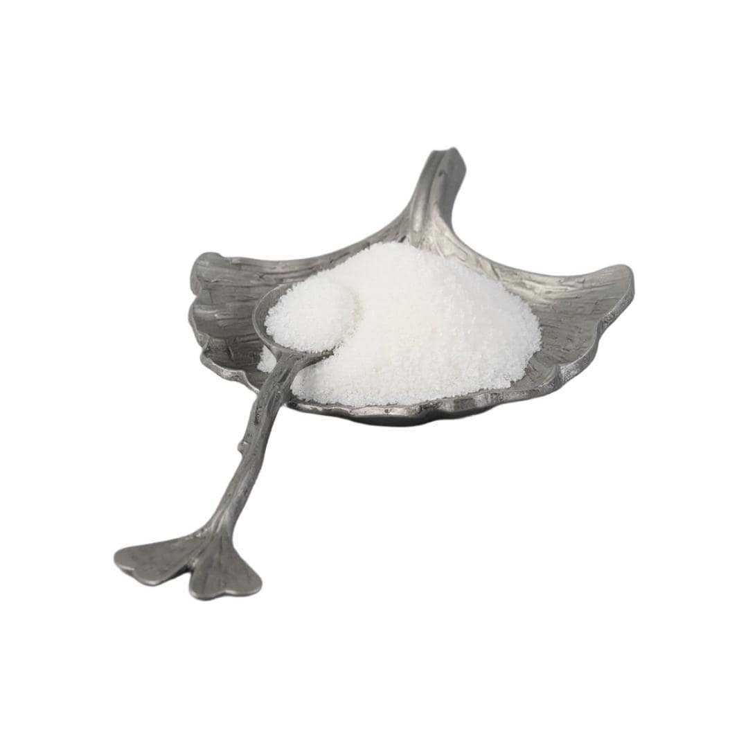 Ginkgo Minimalist Decorative Pewter Salt Dish Set Inspired by Nature