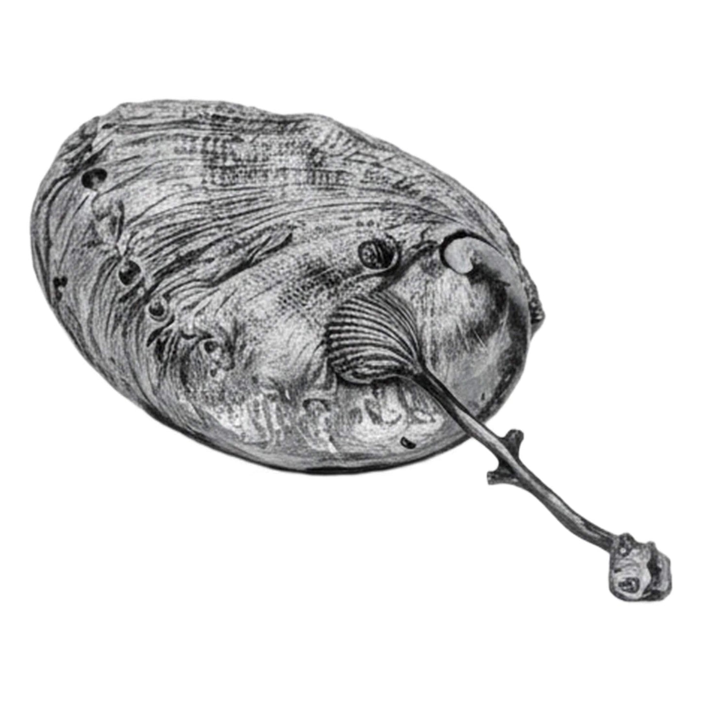 Abalone Shell Decorative Pewter Salt Dish Inspired by Nature