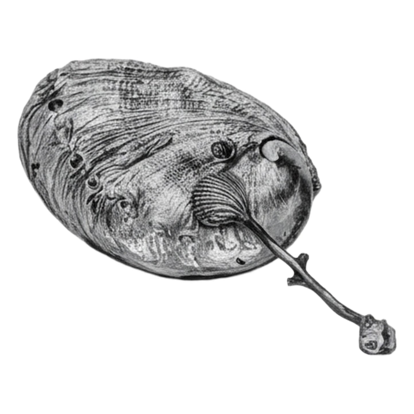 Handmade Abalone Shell Decorative Pewter Salt Dish, Table Decor Inspired by Nature