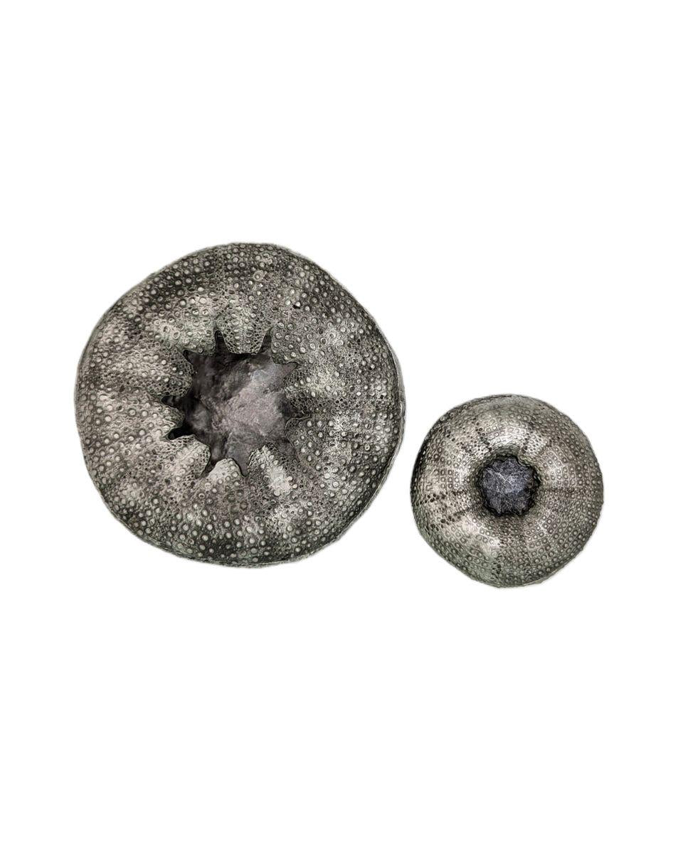 Handmade Sea Urchin Trinket Pewter Box Set, Home Decor, Inspired by Nature