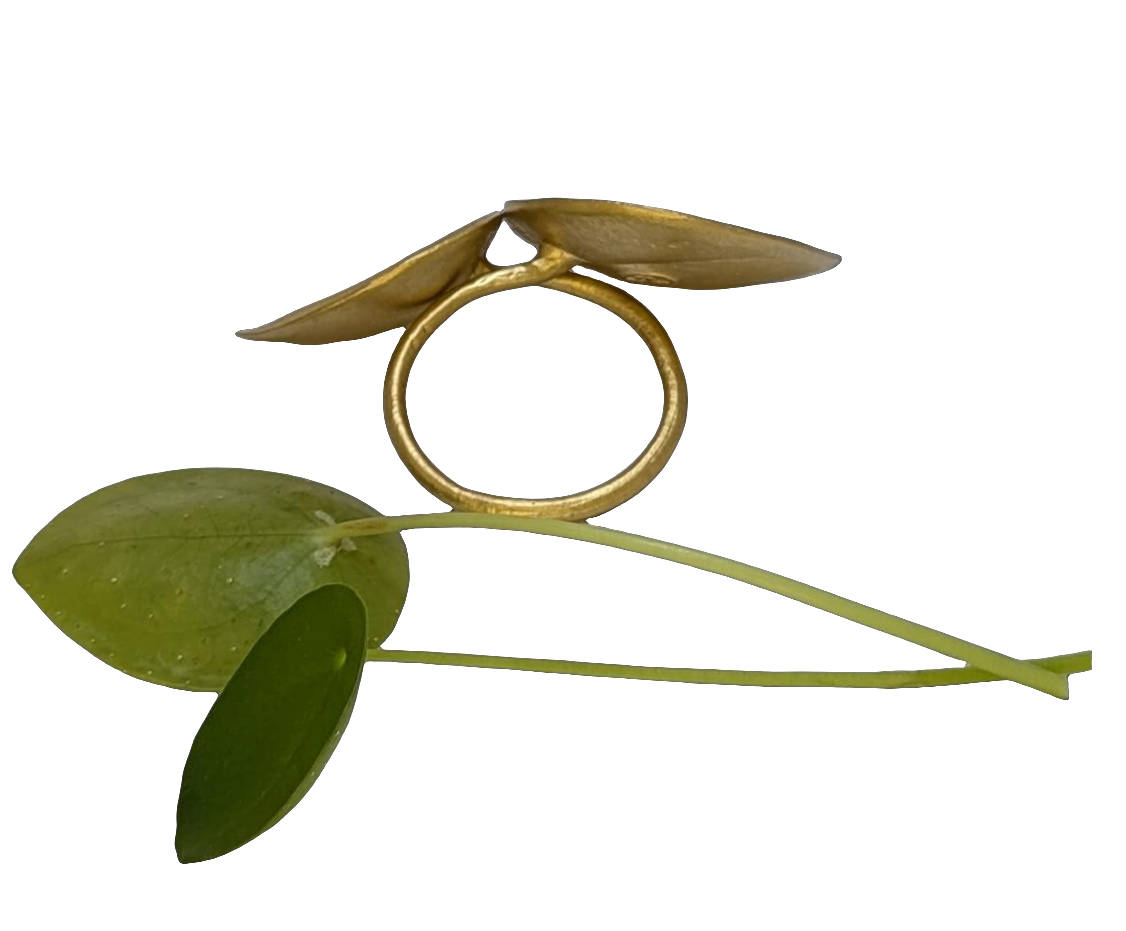 Money Plant Adjustable Pewter Napkin Ring Set of 4 Inspired by Nature