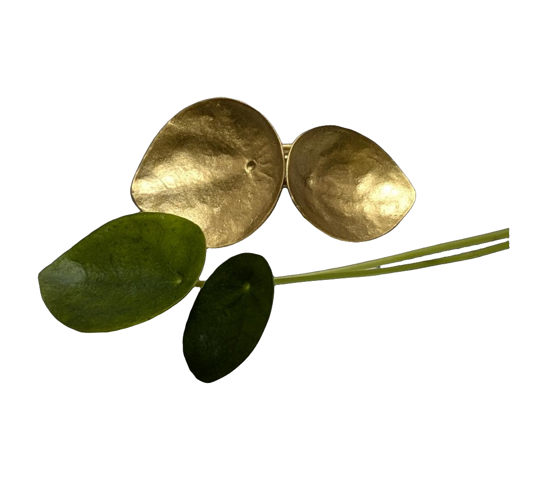 Money Plant Adjustable Pewter Napkin Ring Set of 4 Inspired by Nature